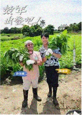 国产户外综艺 我们的露营日记 剧照